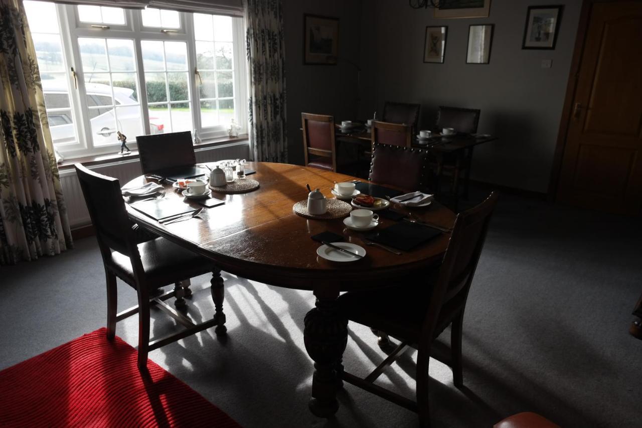 Hazel Court Guest House Newport  Extérieur photo